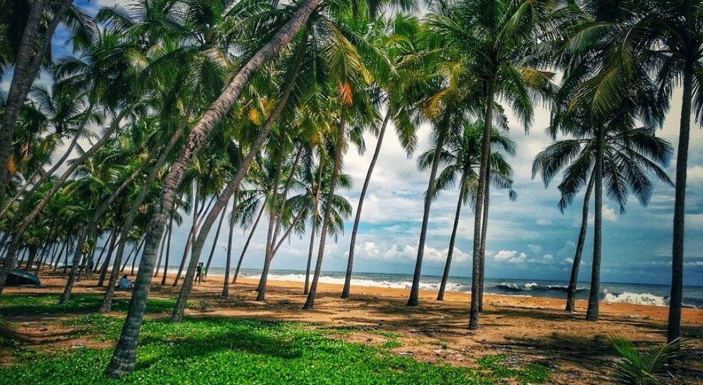 Padinjarekkara Beach, , India